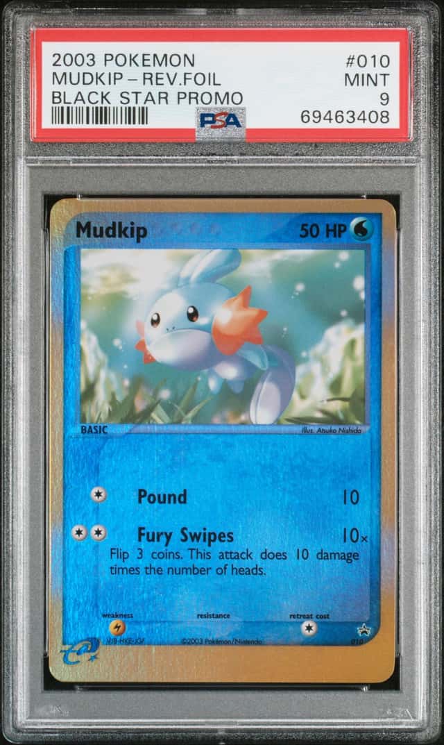 Mudkip