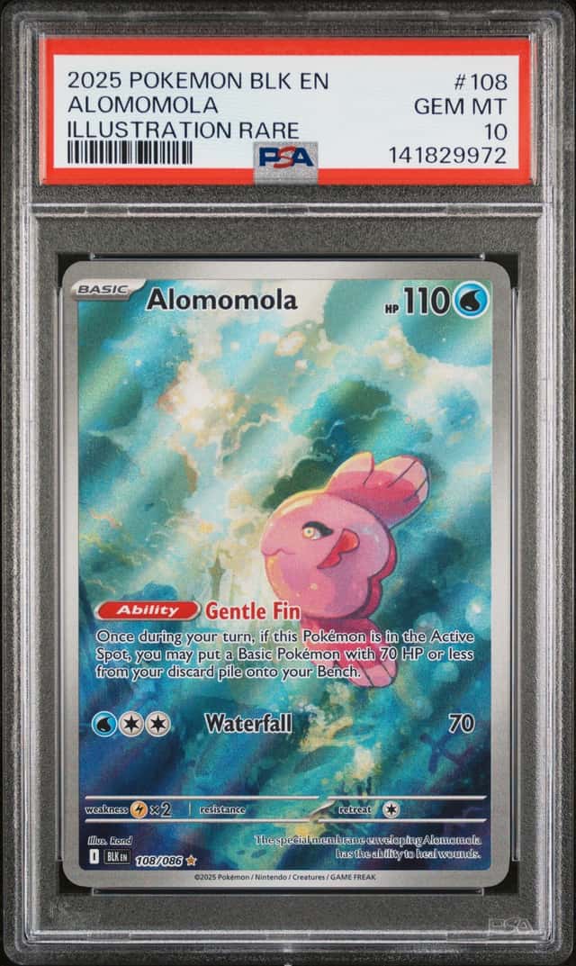 Alomomola