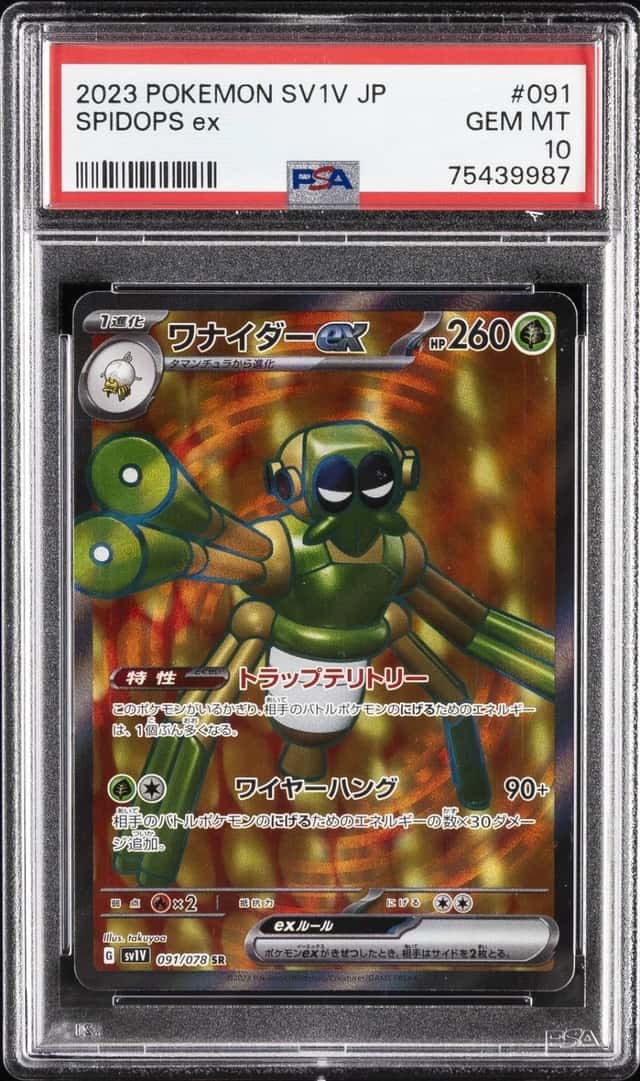 Spidops ex