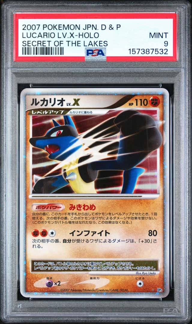 Lucario Lv X