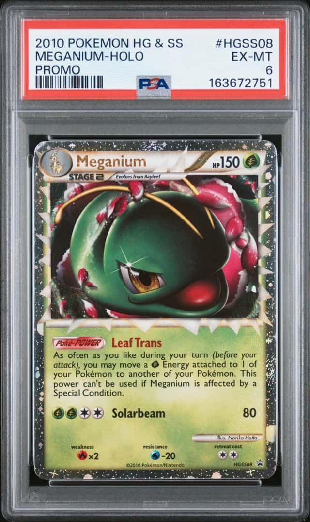 Meganium