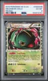 Meganium