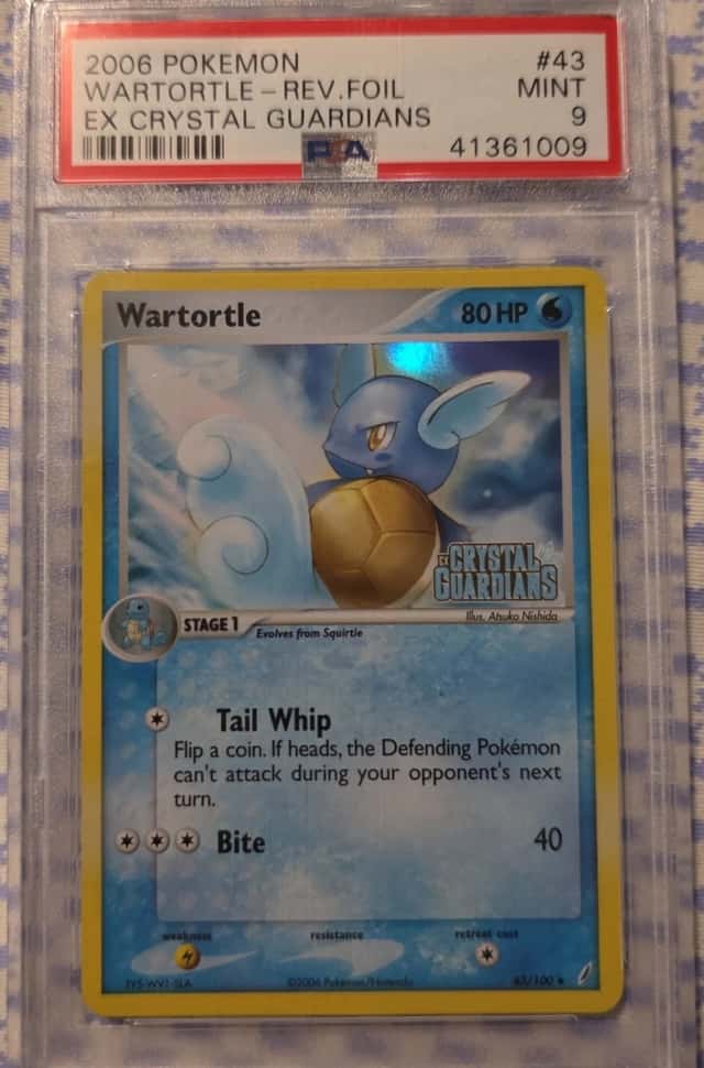 Wartortle