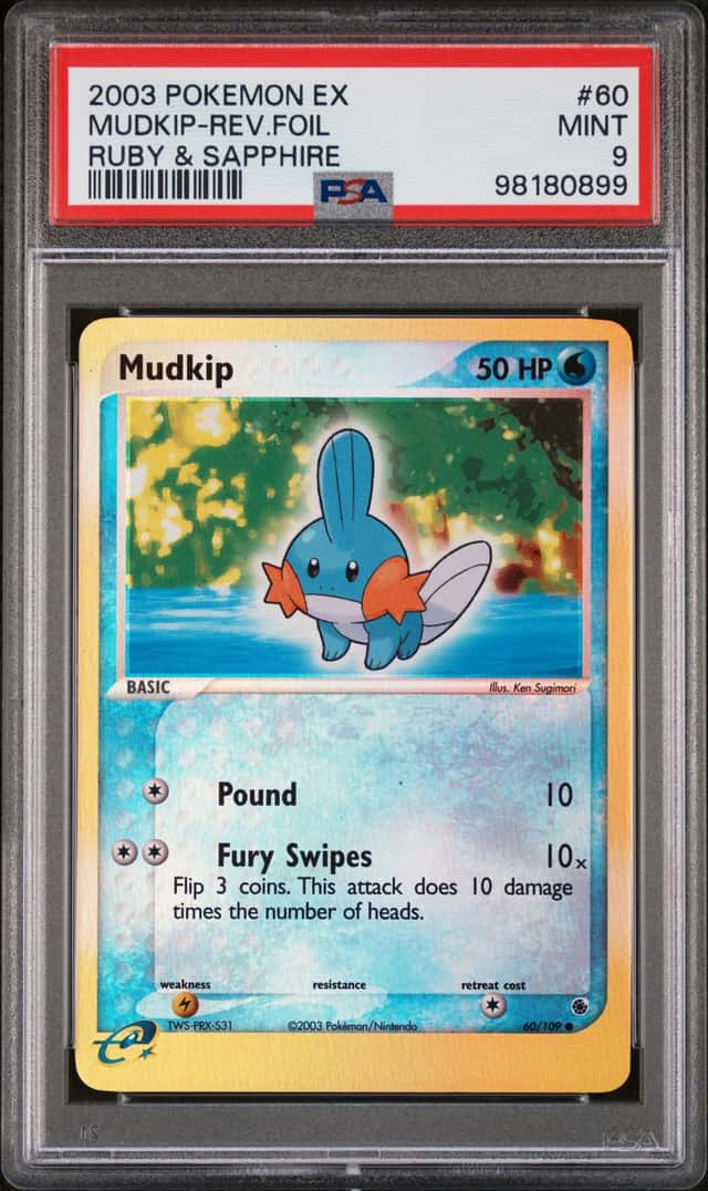 Mudkip