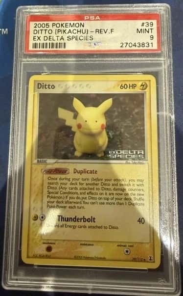 Ditto