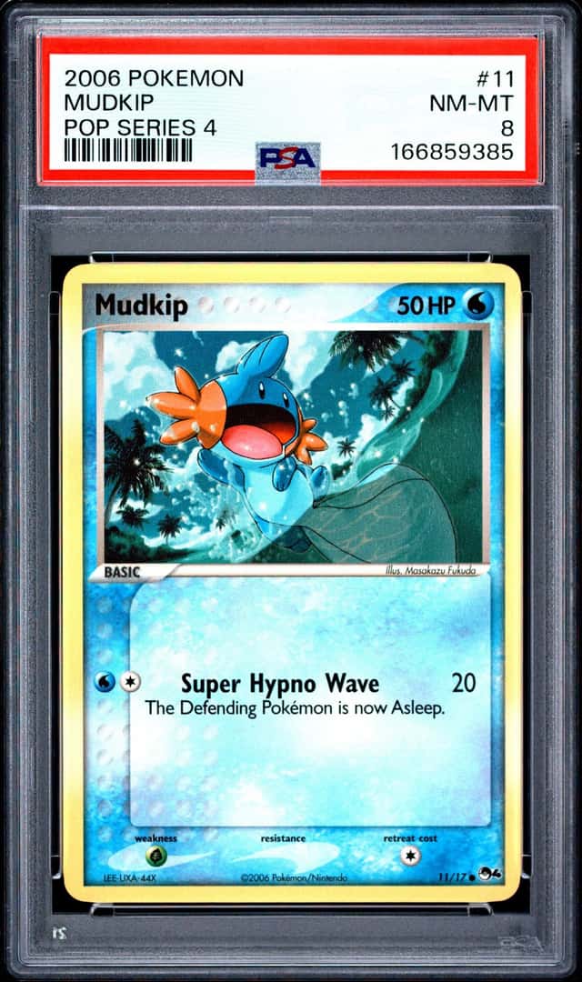 Mudkip