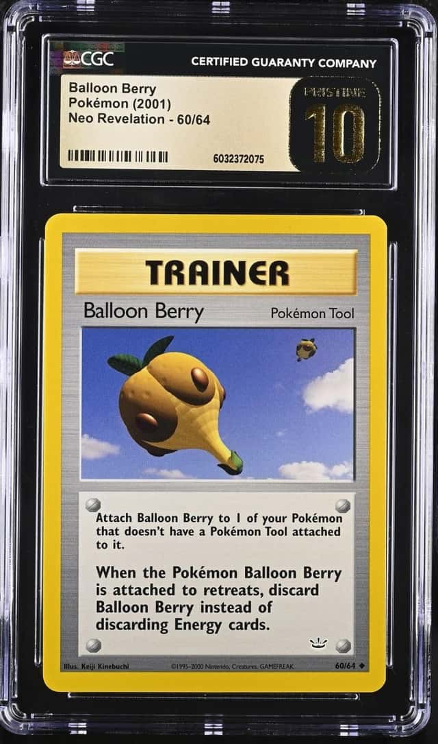 Balloon Berry