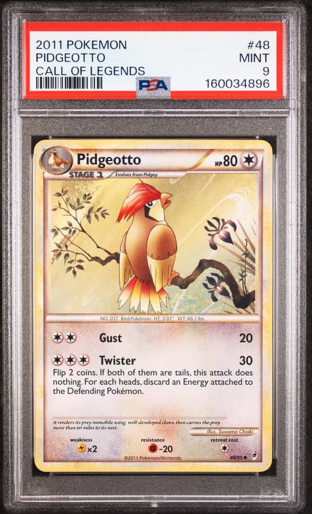 Pidgeotto