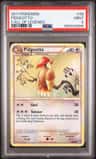Pidgeotto