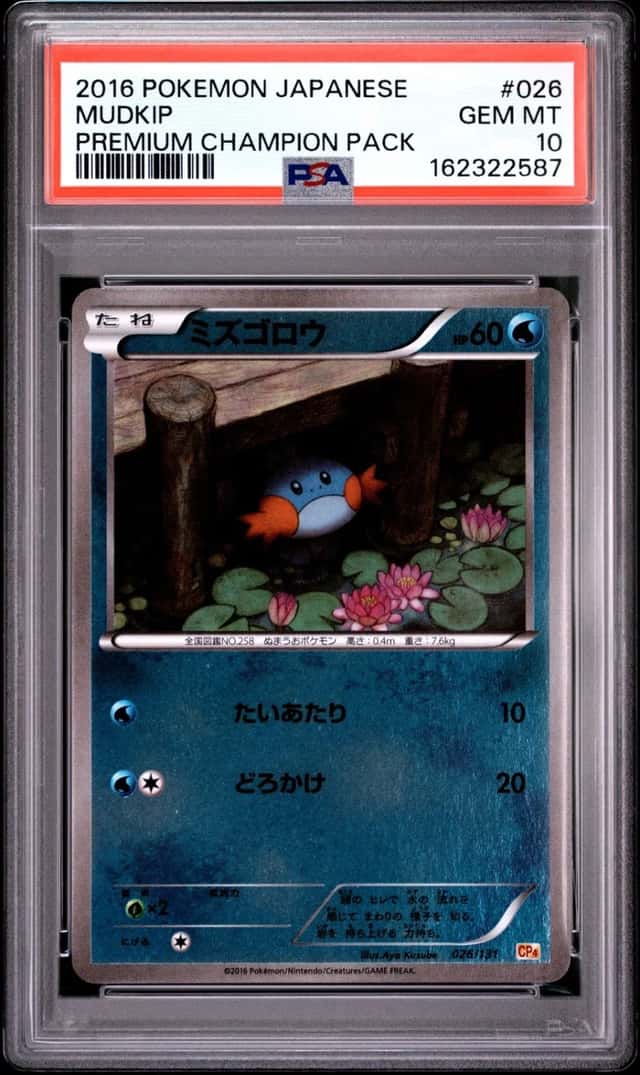 Mudkip