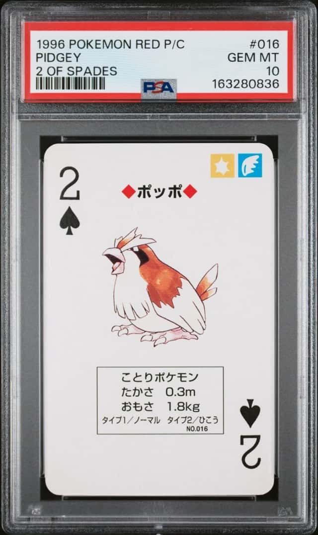 Pidgey