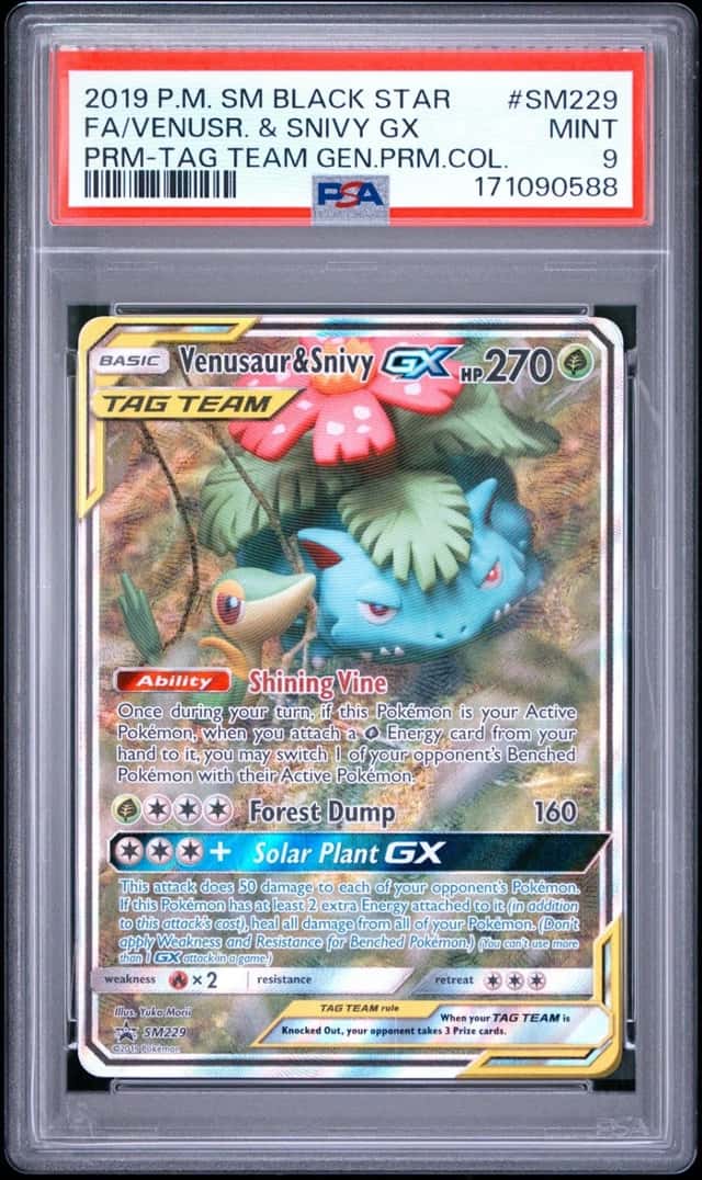 Venusaur & Snivy GX