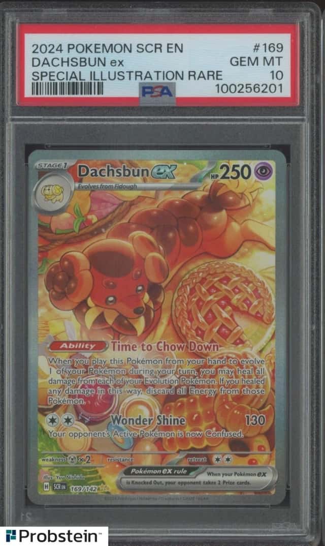 DACHSBUN ex