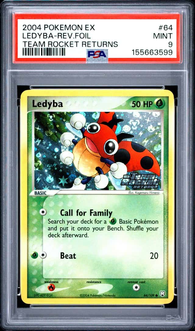 Ledyba
