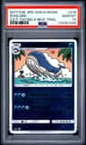 Wailord