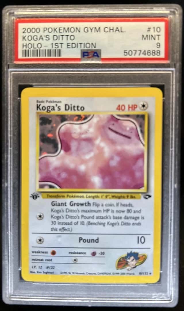 Koga's Ditto