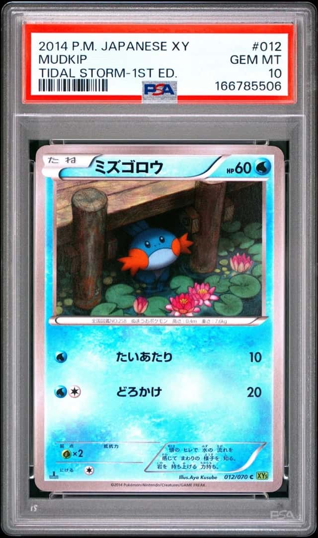 Mudkip