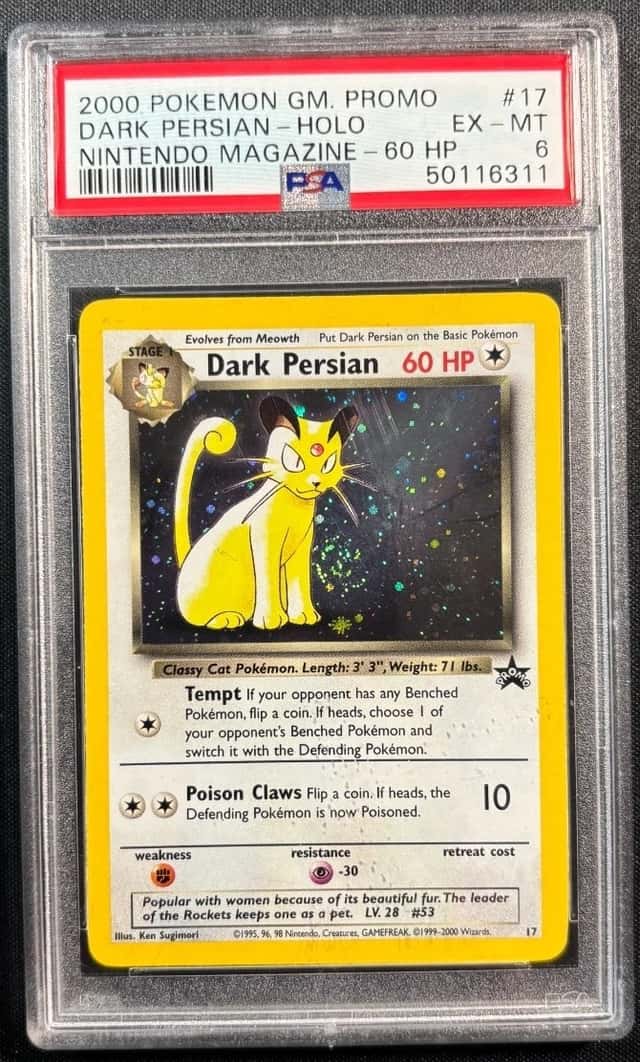 Dark Persian