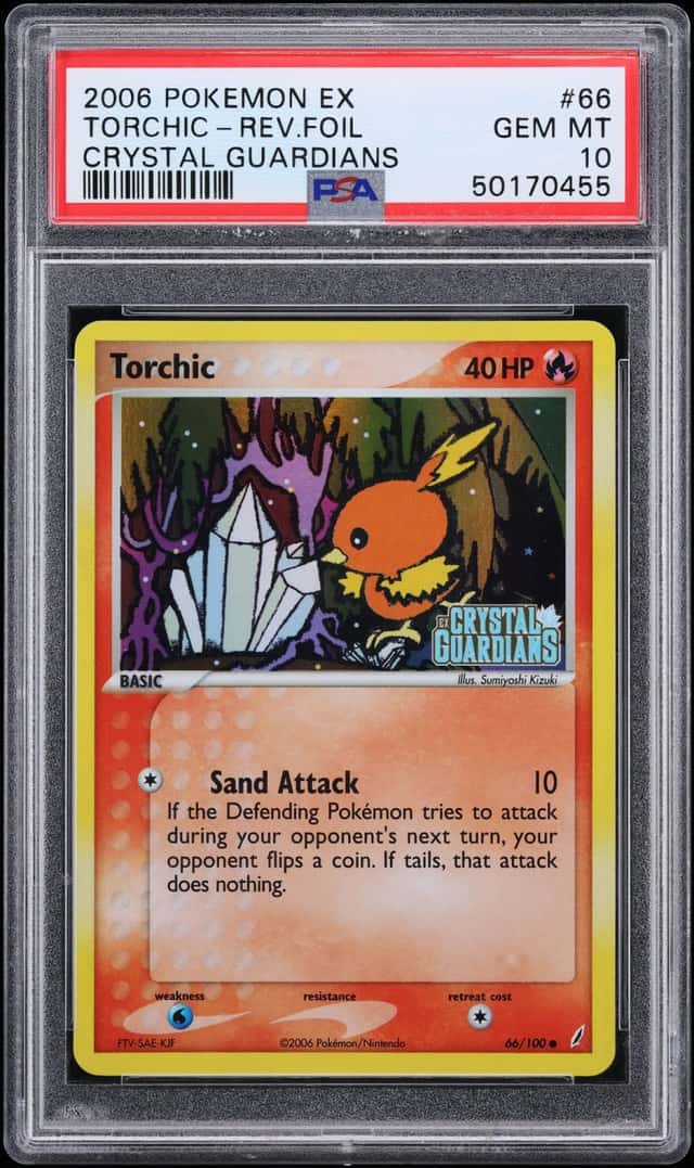 Torchic