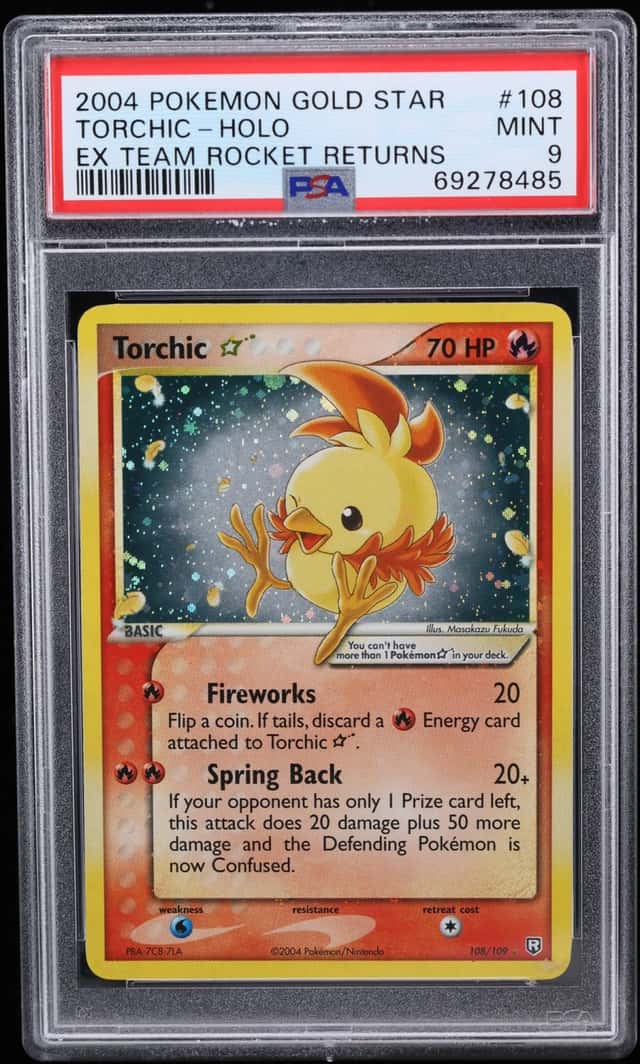 Torchic