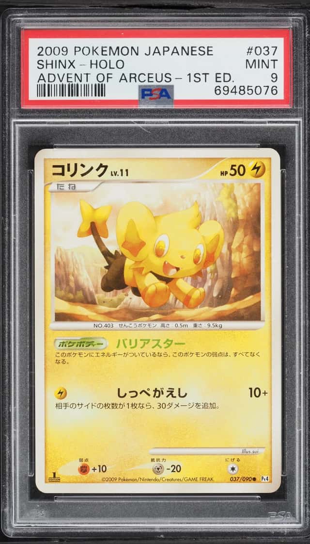 Shinx