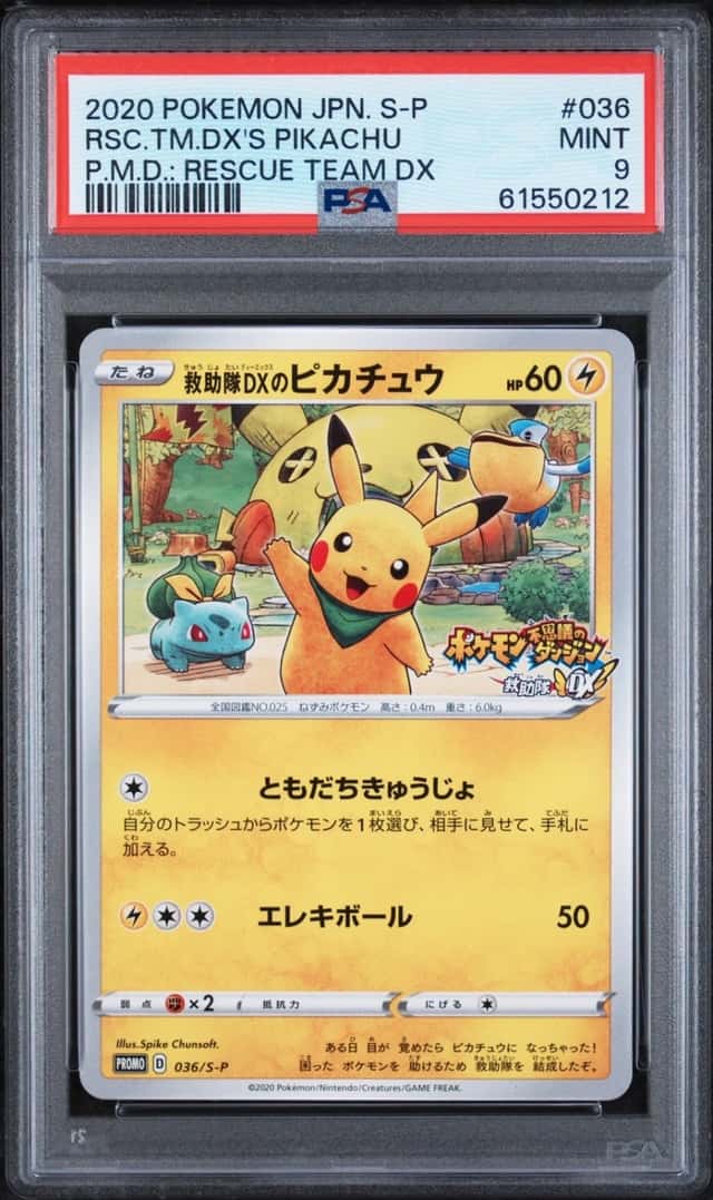 Rescue Team Dx's Pikachu