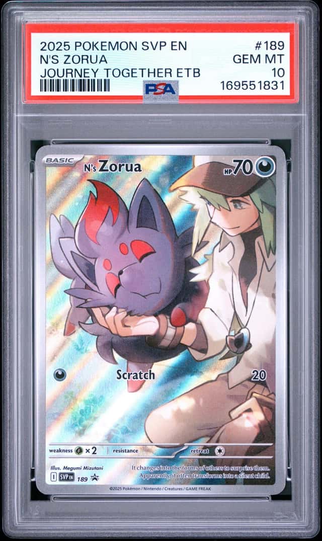 N's Zorua