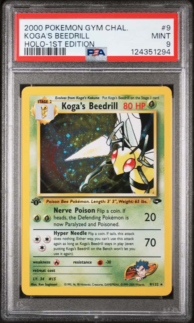 Koga's Beedrill