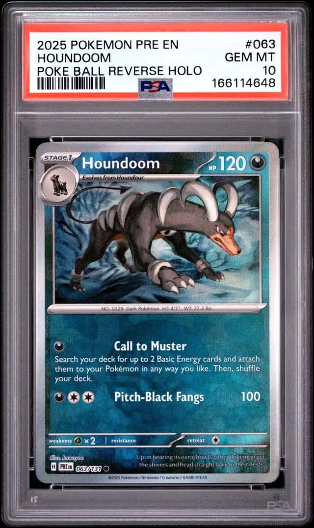 Houndoom