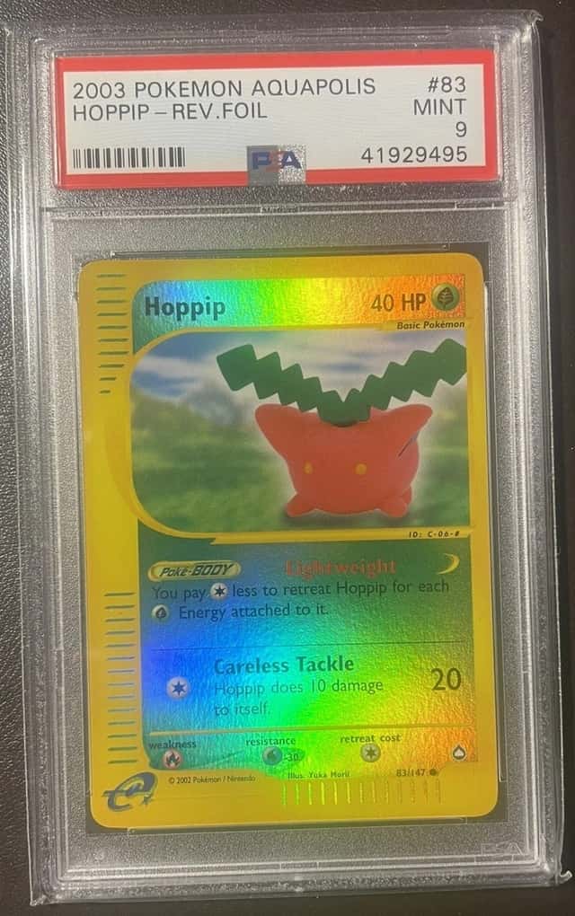 Hoppip