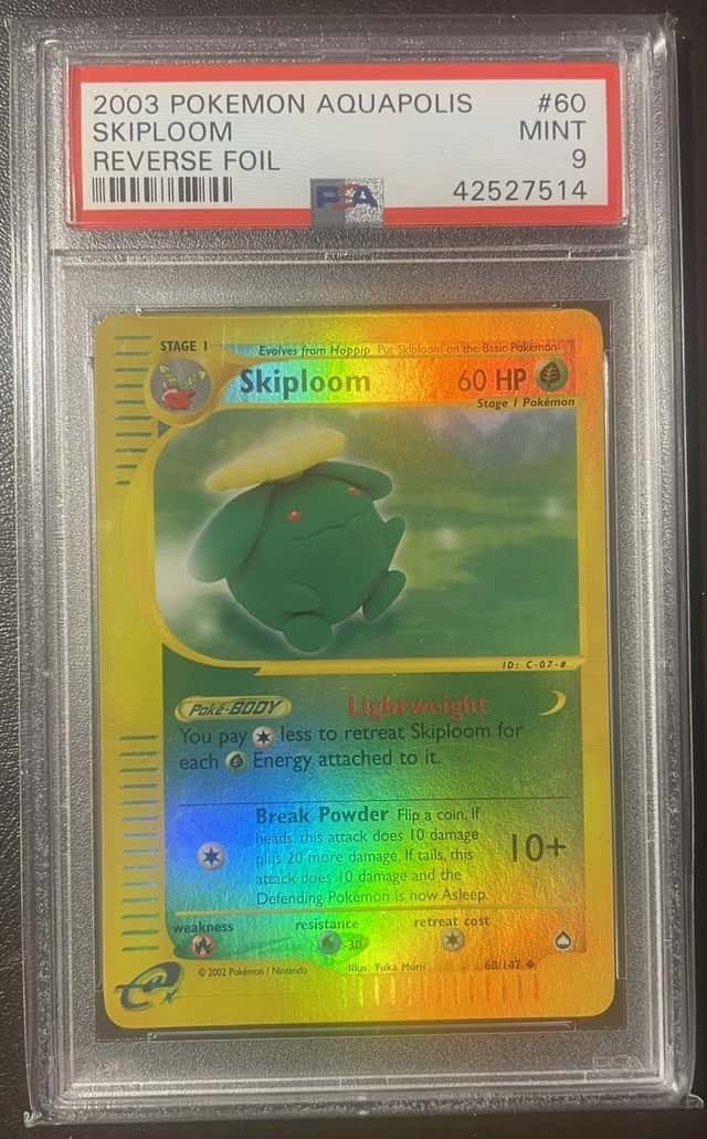 Skiploom