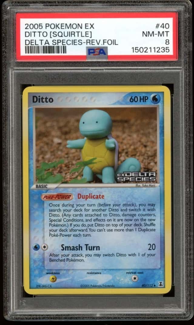 Ditto [Squirtle]