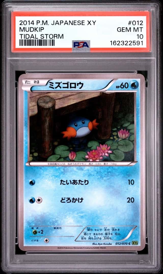 Mudkip