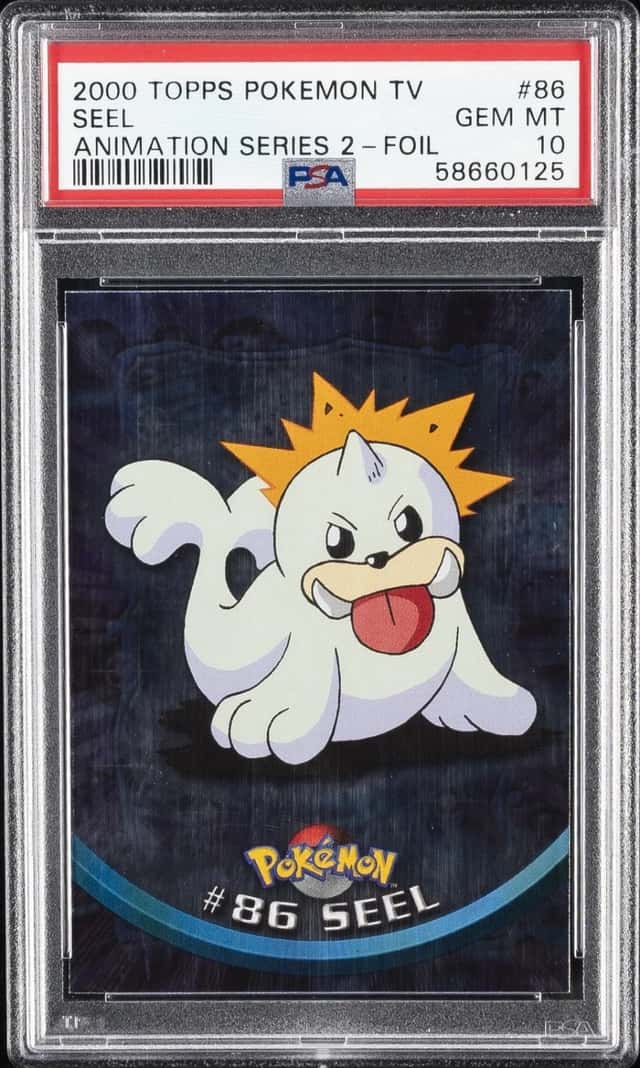 Seel