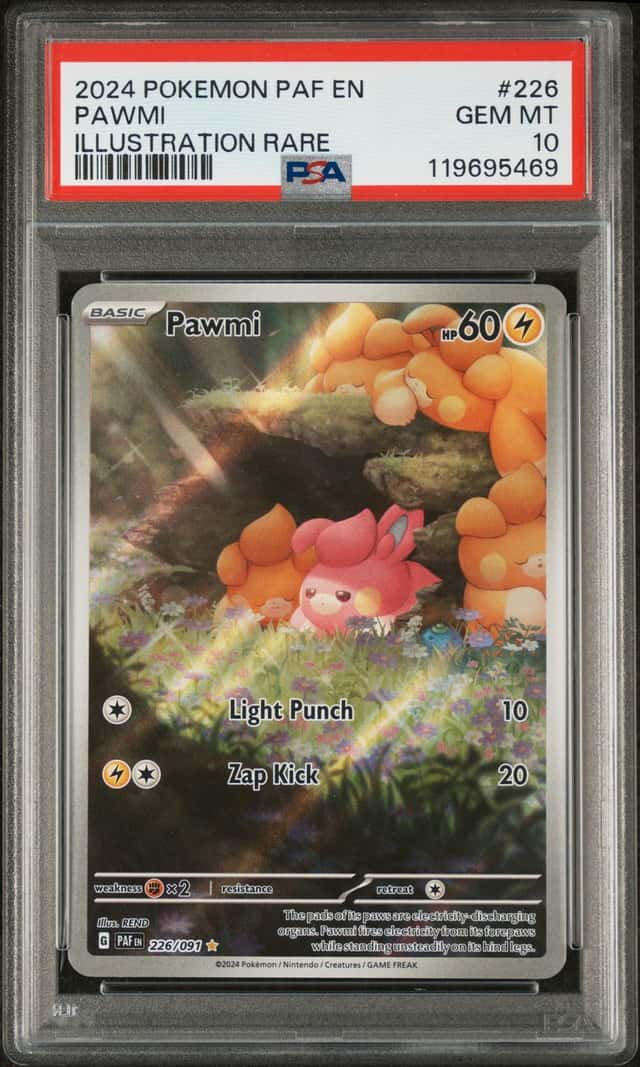 Pawmi