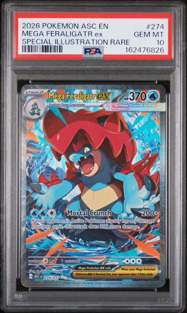 MEGA FERALIGATR ex