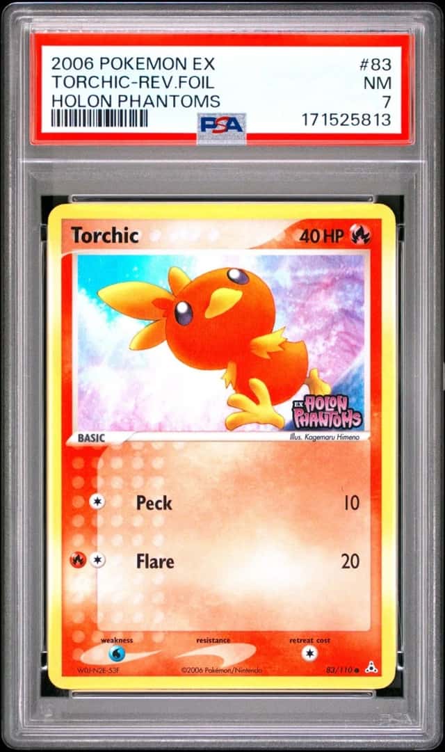 Torchic