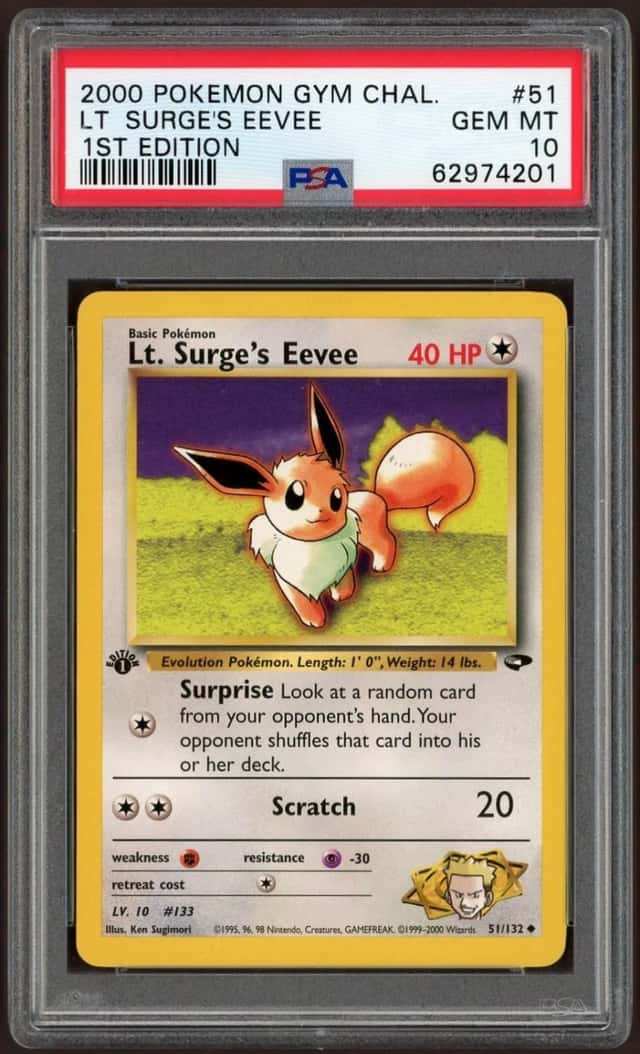 Lt. Surge's Eevee