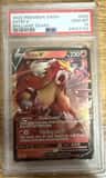 Entei V