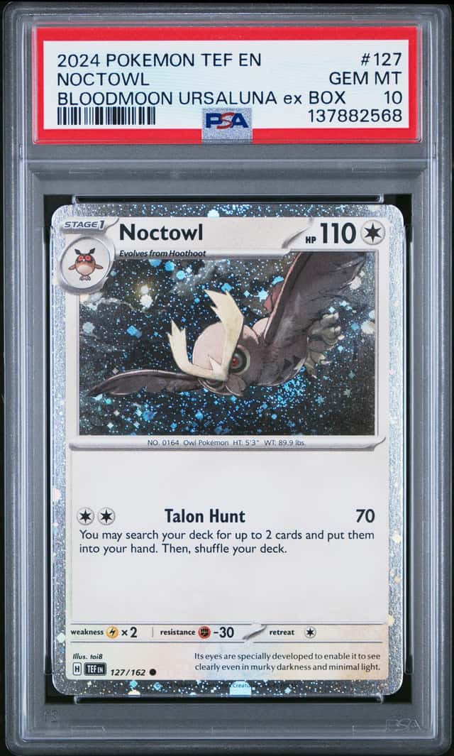 Noctowl