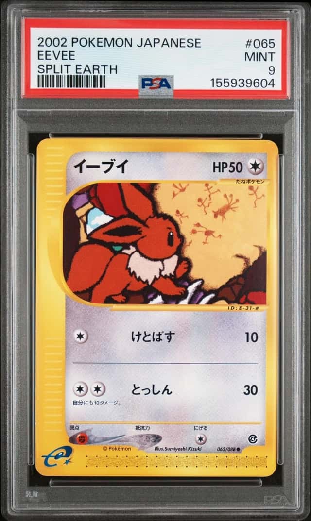 Eevee