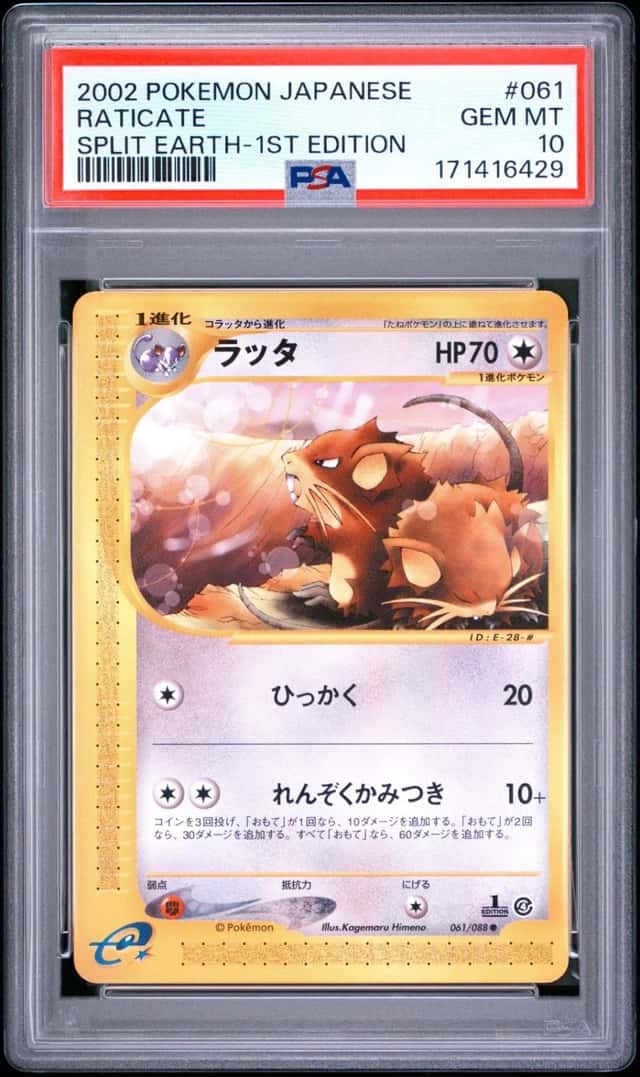 Raticate