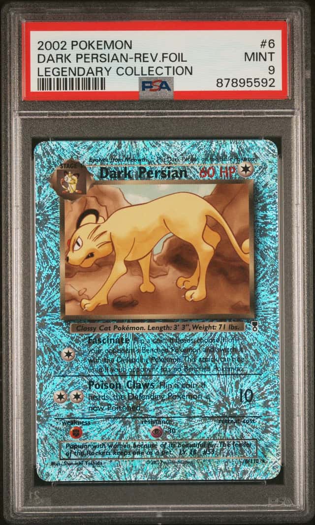 Dark Persian