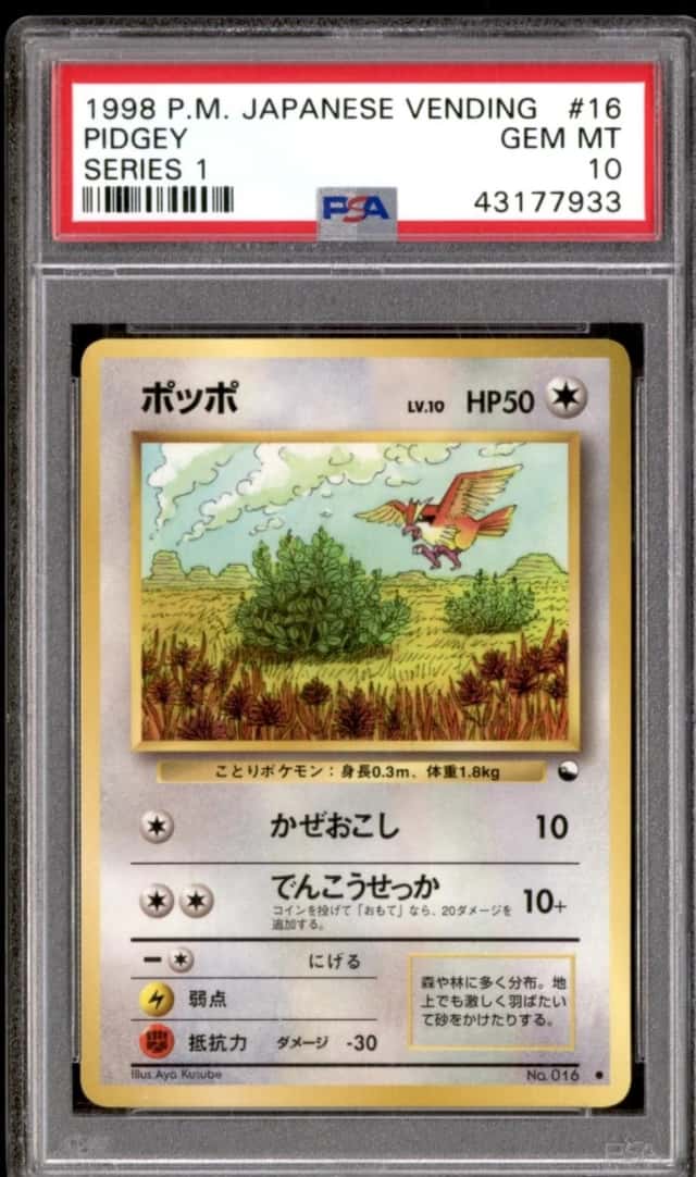 Pidgey