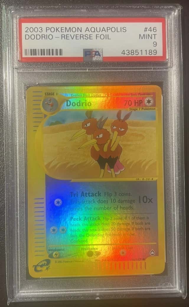 Dodrio