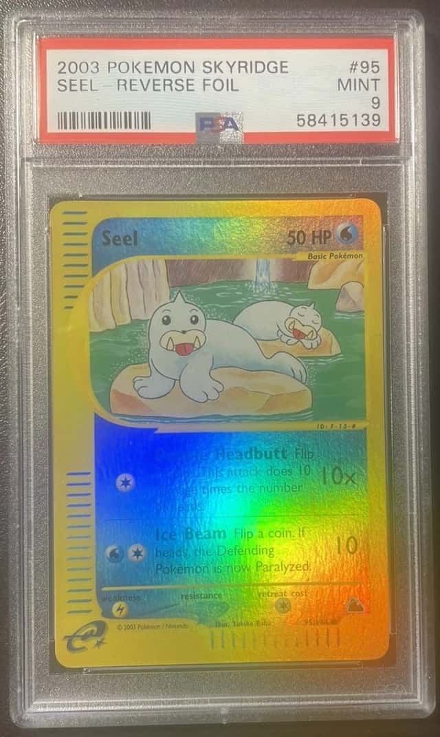 Seel