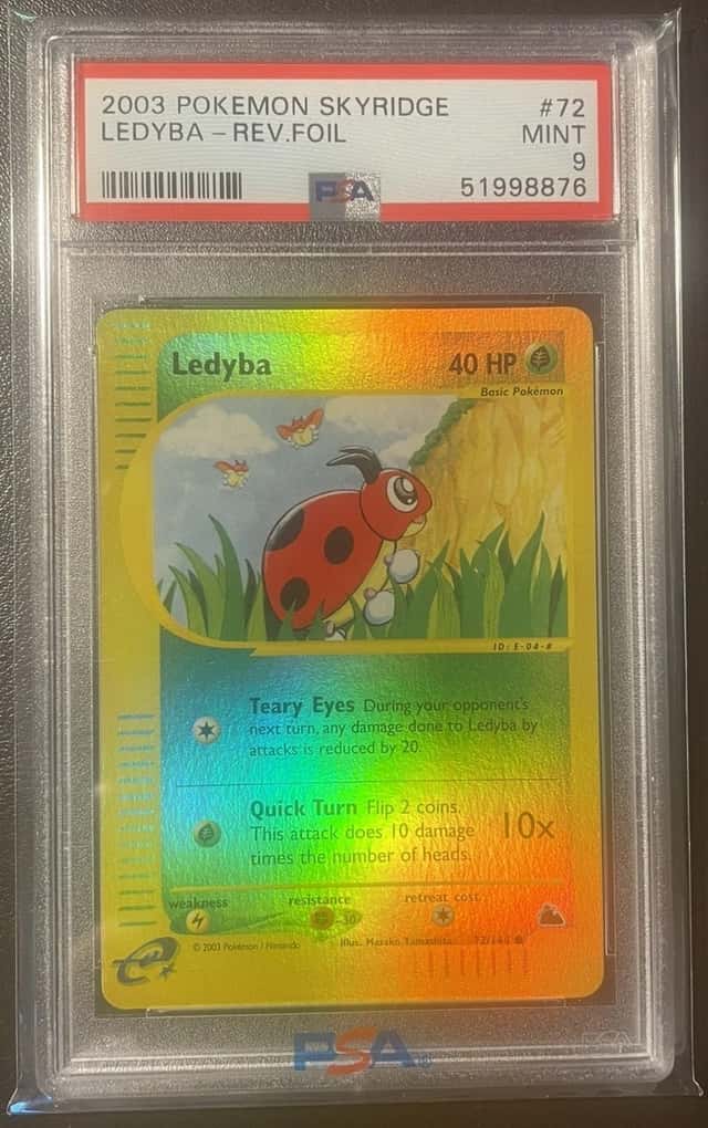 Ledyba
