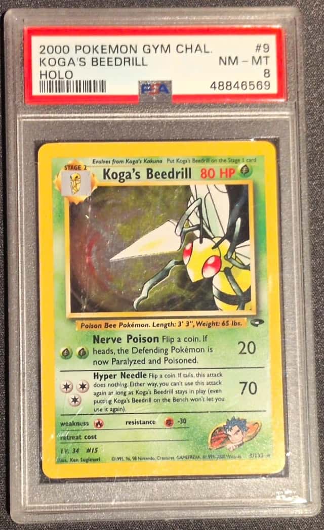 Koga's Beedrill