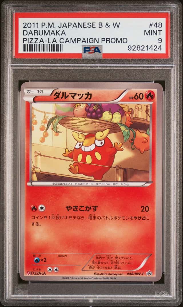 Darumaka