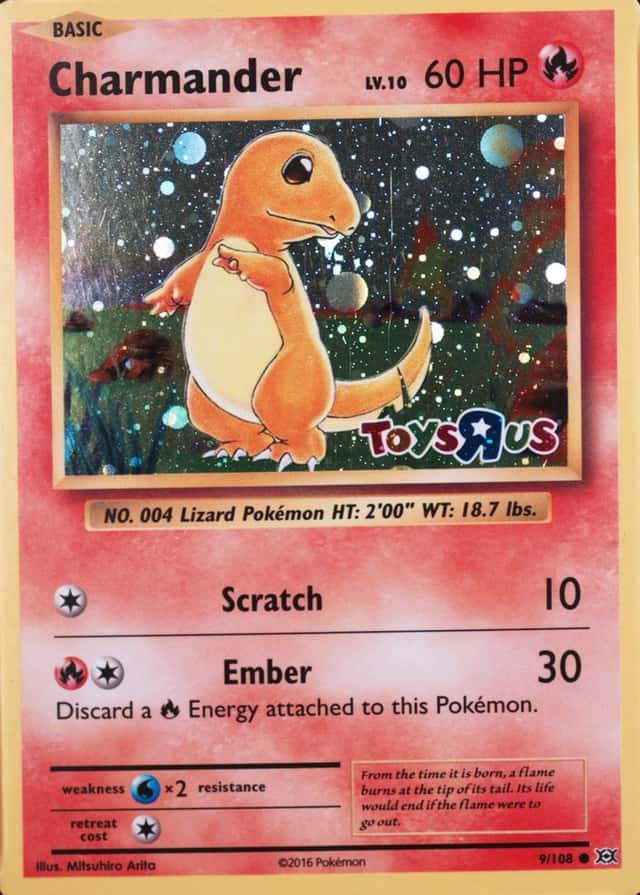 Holo